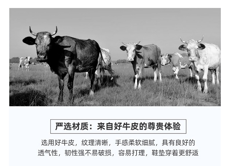 鞋垫_19.jpg